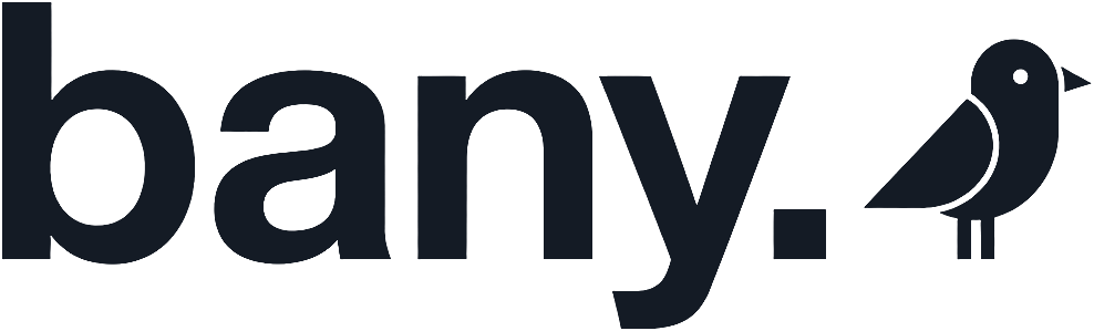 bany. custom AI assistant